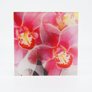 Grafikdesign Bild Orchidee rosa