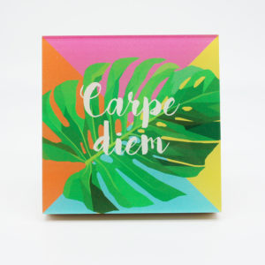 Grafikdesign Bild Carpe diem - Monstera
