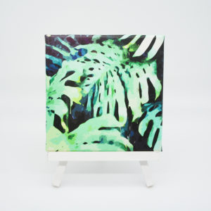 Bild auf Leinwand - Monstera