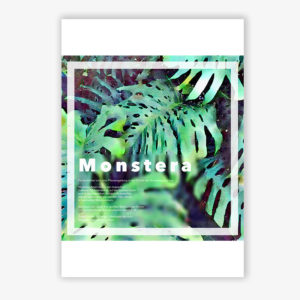 Grafikdruck Monstera #2
