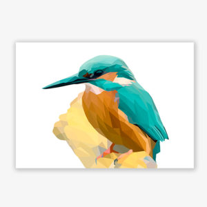 Grafikdruck Eisvogel