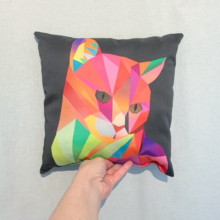 Kissen POP ART Karl Kater